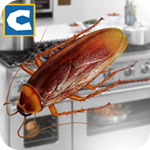 蟑螂模拟器安卓破解版 V1.1