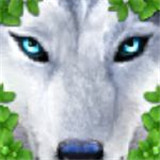 终极野狼模拟器安卓版